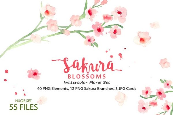 水彩樱花花卉插画素材合集 Sakura Blossoms &#8211; Watercolor Clipart