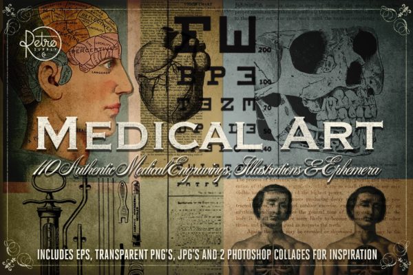 旧时代解剖医学插图素材 Medical Art | 110 EPS, PNG and JPG&#8217;s