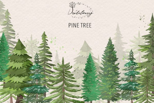 松树水彩艺术剪贴画16素材网精选PNG素材 Pine trees clip arts