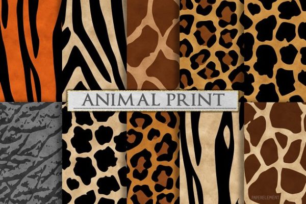 创意动物斑点花纹图案纹理 Animal Print Patterns &#8211; Zebra Print