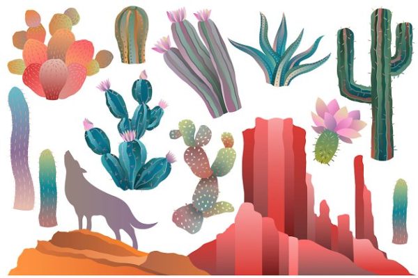沙漠中的仙人掌矢量剪贴画 Desert &amp; Cactus Clipart Vector, PNG