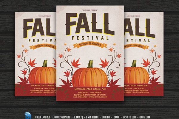 秋季南瓜万圣节派对宣传单设计模板 Fall Festival