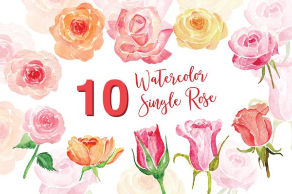 10个单株玫瑰水彩插画素材 10 Watercolor Single Rose Illustration