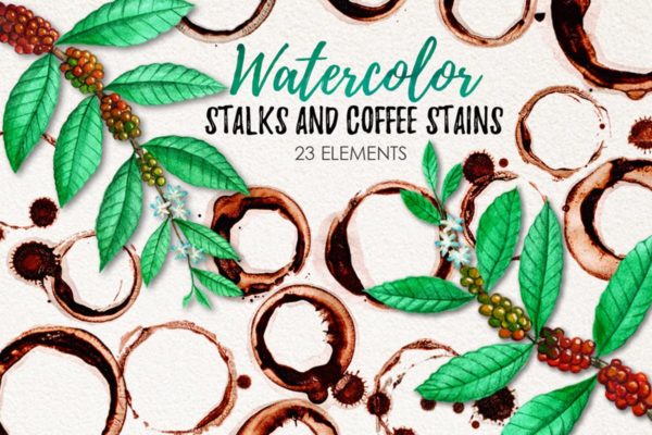 水彩咖啡污渍&amp;咖啡植物插画素材 Watercolor Coffee Stains and Stalks