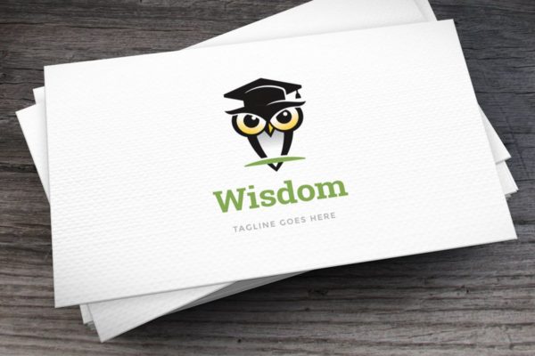 智慧智商开发品牌Logo模板 Wisdom Logo Template