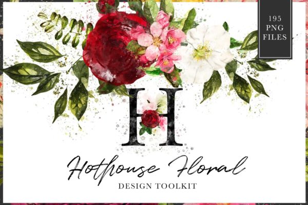 数码绘制温室花卉设计素材包（独立花卉元素&amp;花式字母数字） Hothouse Floral Design ToolKit