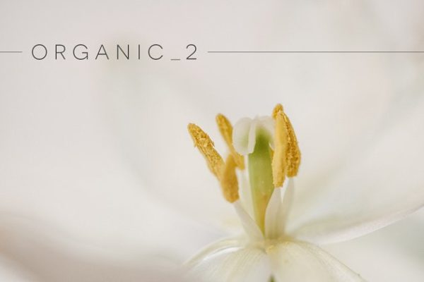 植物花卉特写镜头高清照片素材 Organic 2