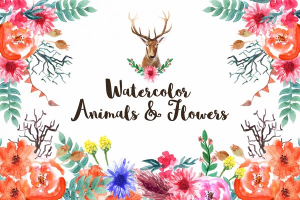 动物&amp;花卉水彩元素插画套装 Watercolor Animals &amp; Flowers