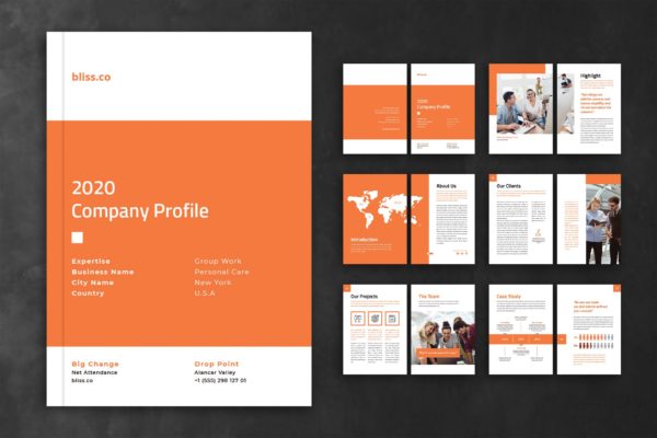 跨国公司介绍企业画册设计模板 Company Profile