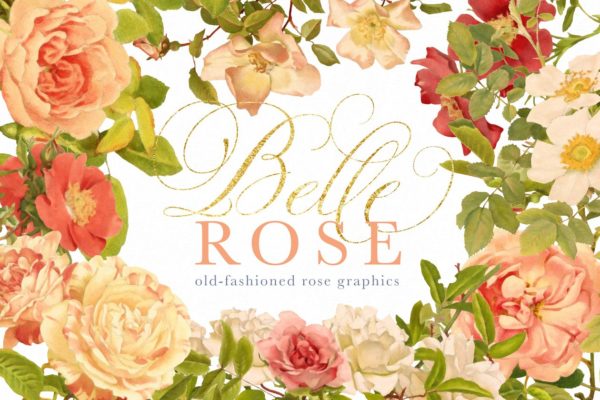 旧时尚老派水彩玫瑰花卉剪贴画合集 Belle Rose Antique Graphics Bundle