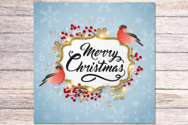 圣诞主题背景设计素材 Christmas Background with Bullfinches