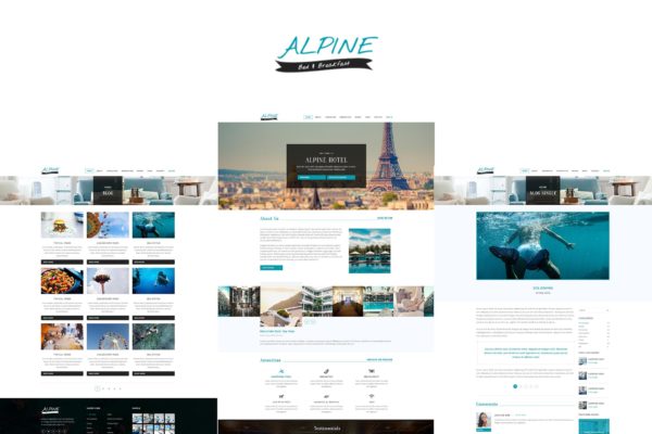 酒店品牌官网建设HTML模板素材天下精选下载 Alpine
