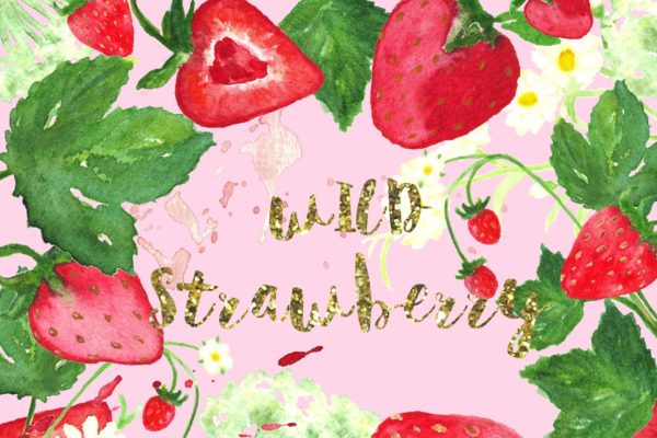 浪漫手绘野草莓水彩剪贴画 Wild strawberry watercolor clipart