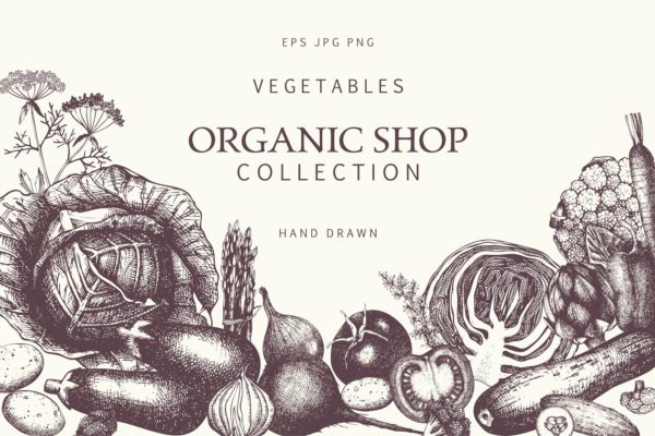 手绘蔬菜矢量图形插画 Hand Drawn Vegetables Collection