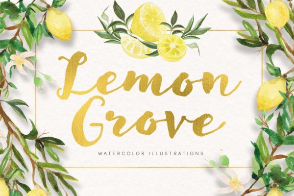 柠檬树水彩手绘矢量插画16设计网精选素材 Lemon Grove Watercolor Illustrations