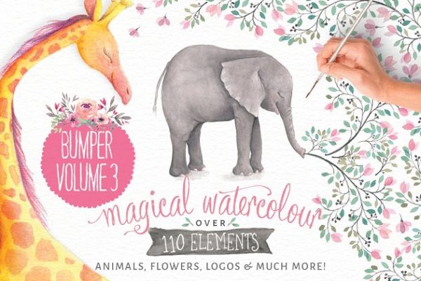 水彩动物&amp;花卉插画合集 Watercolor animals &amp; flowers vol 3