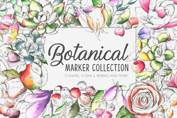 各种植物花卉水彩剪贴画合集 Botanical Marker Collection Pro