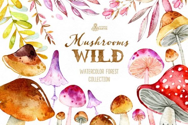 野生蘑菇森林元素素材集 Wild Mushrooms. Forest Collection