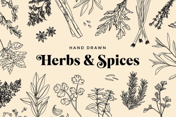 20+草药和香料手绘图案设计素材 Hand Drawn Herbs &amp; Spices
