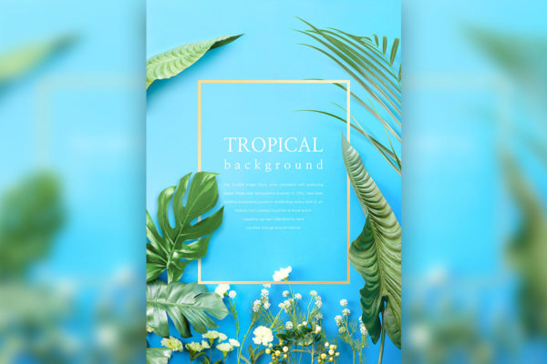 热带主题叶子花卉背景图片设计素材