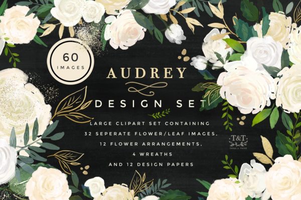 水彩花卉设计素材集 Floral Design Set &#8211; Audrey