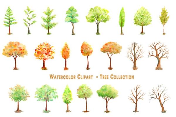 手绘水彩冬季树木系列插画素材 Watercolor Tree Illustration