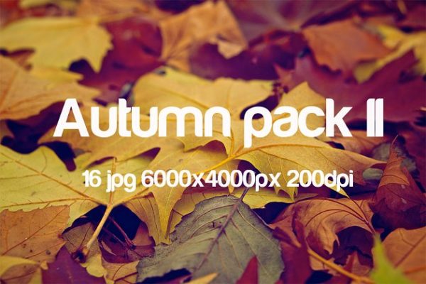 秋天主题高清照片素材包 Autumn photo pack II