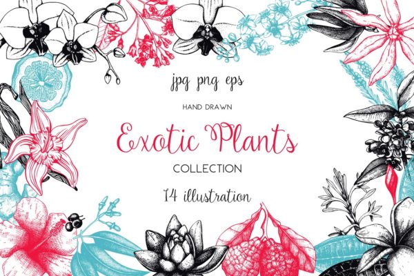 复古风奇花异草设计素材集 Vinatge Exotic Plants &amp; Flowers Set