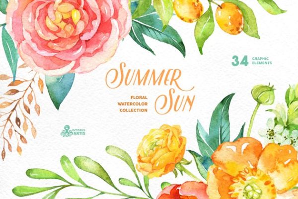 夏日太阳色水彩花卉插画 Summer Sun. Floral Collection