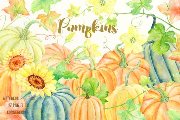 南瓜（藤、叶子&amp;花）水彩剪贴画、纹理 Watercolour Clipart Pumpkins