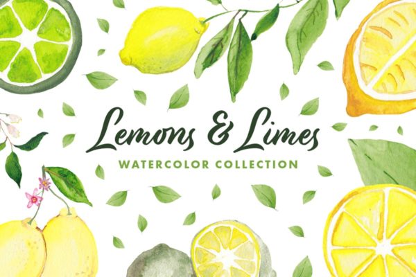 柠檬&amp;酸橙手绘水彩插画系列 Lemons &amp; Limes Watercolor Collection