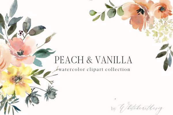 桃子和香草水彩剪贴画 Peach &amp; Vanilla Watercolor Clipart