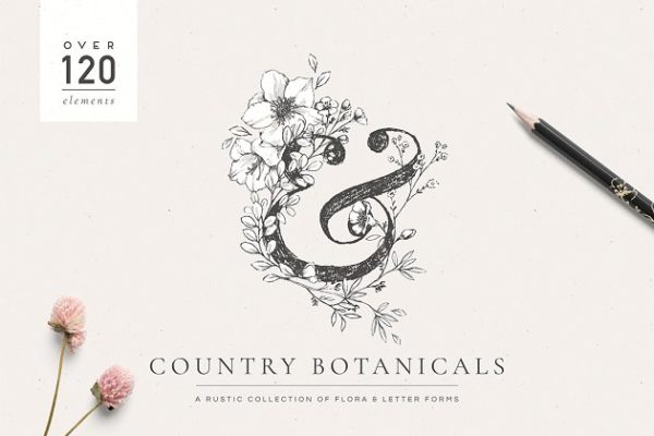 乡土气息植物、手绘字体&amp;花卉字体 Botanical Illustrations &amp; Monograms