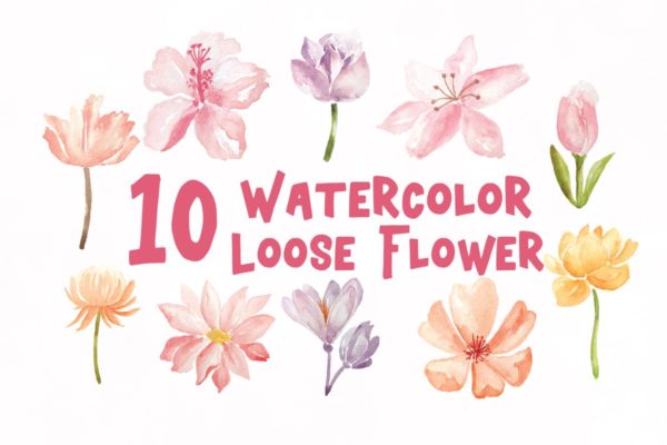盛开的花卉水彩插画元素合集 10 Watercolor Loose Flowers Illustration Graphics