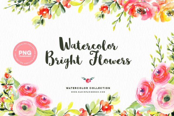 明亮水彩花卉设计元素 Watercolor Bright Flowers