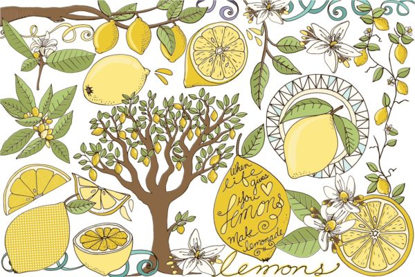 新鲜夏天柠檬插图合集 Lemons, Summer Fruit Illustrations