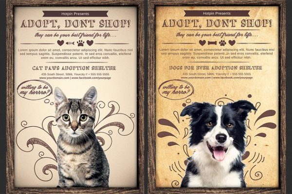 宠物收养宣传传单模板 Pet Adoption Flyer Template
