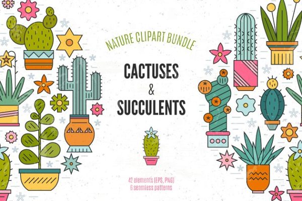 仙人掌多肉盆栽植物插画素材 Succulent Clipart &amp; Patterns Bundle