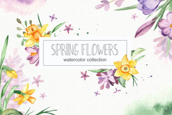 春季花卉水彩素材套装 Watercolor spring flowers collection