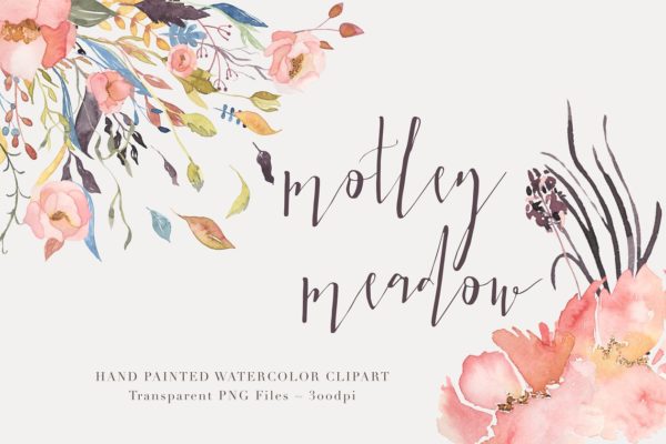混色水彩花卉剪贴画 Watercolor Floral Clipart &#8211; Motley