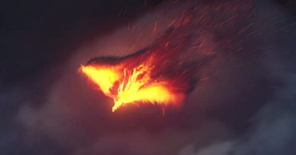 火凤凰粒子特效Logo演示普贤居精选AE模板 The Pheonix | Fire Reveal