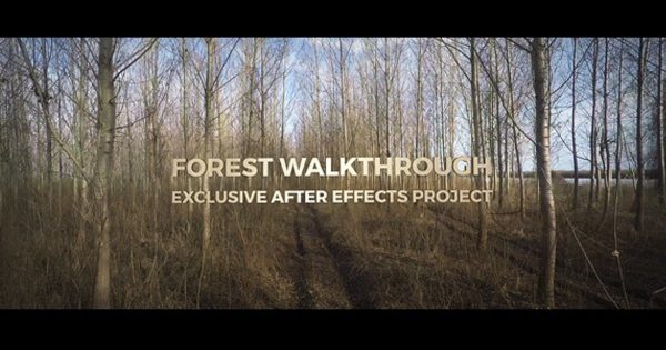 漫步森林第一人称视觉3D效果素材天下精选AE模板 Forest Walkthrough