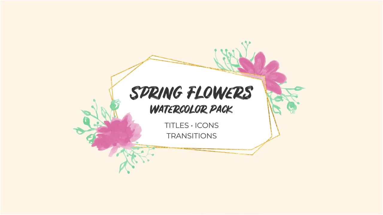 春天的花朵水彩画包16设计素材网精选AE模板