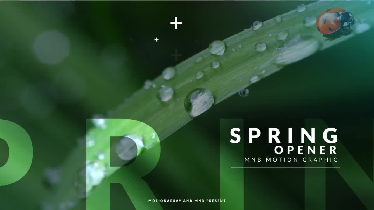 缓慢的春天电影照片动画16设计素材网精选AE模板
