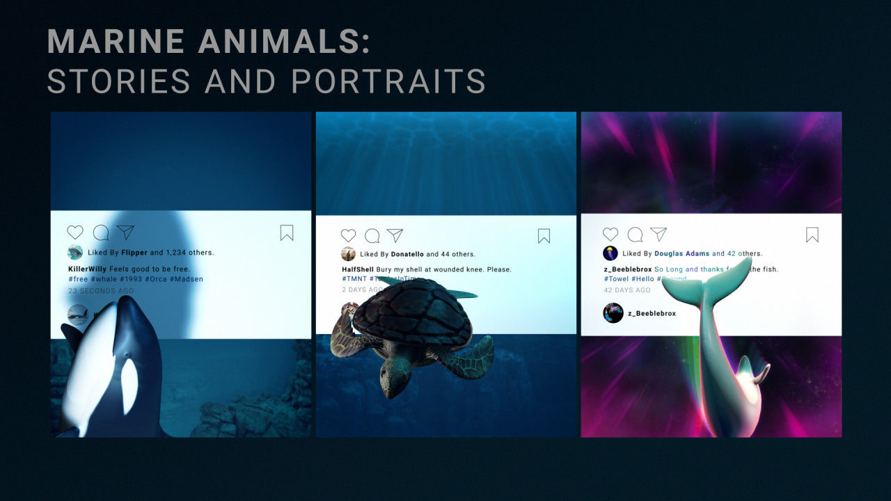 海洋动物故事介绍亿图网易图库精选AE模板