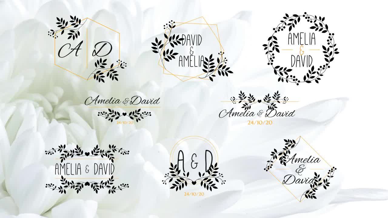 优雅花卉婚礼标题素材天下精选AE模板