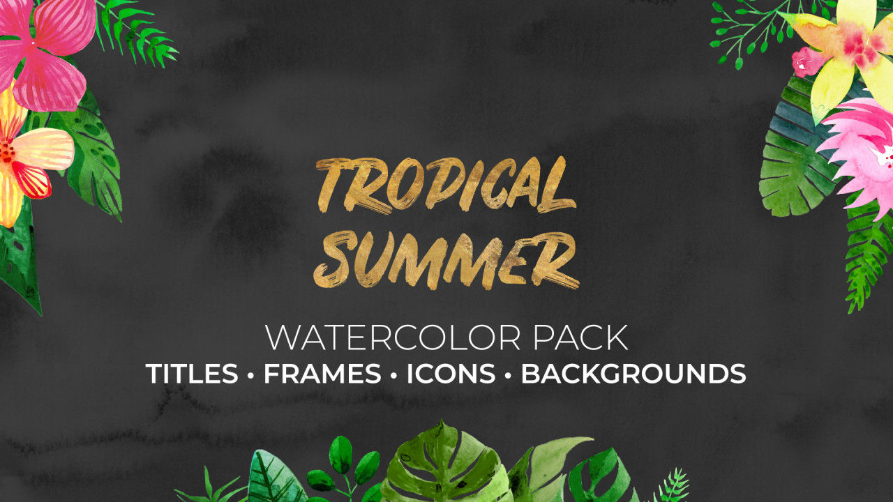 热带夏季水彩画16设计素材网精选AE模板
