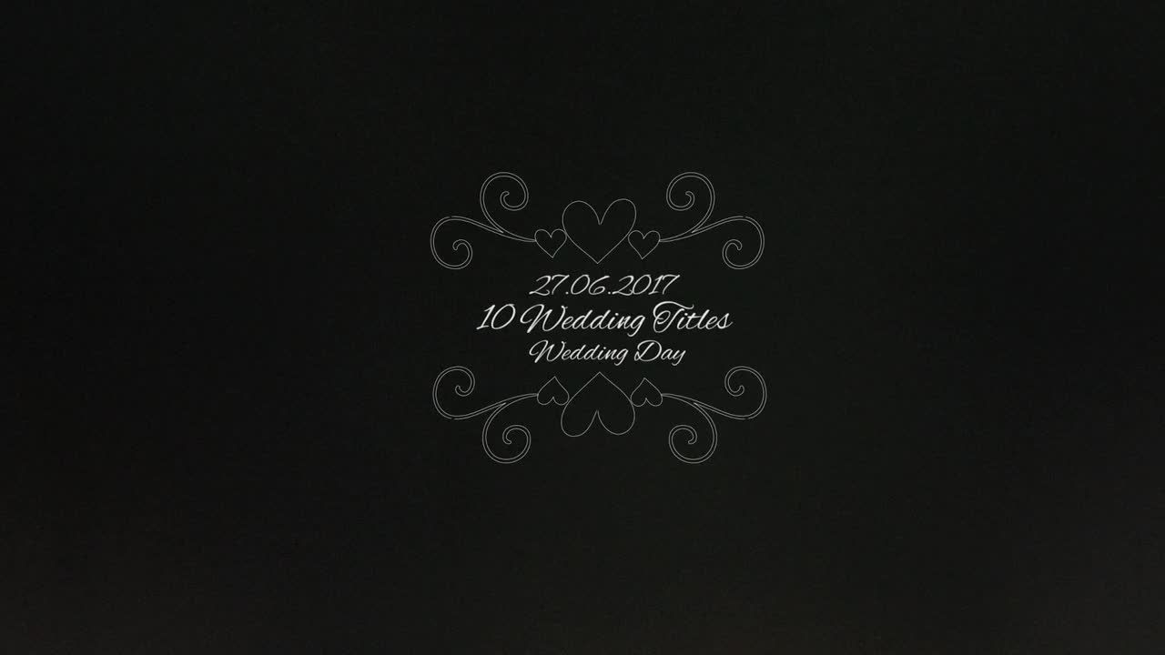 精致的婚礼标题16素材精选AE模板
