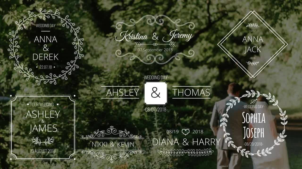 漂亮干净优雅的婚礼标题动画亿图网易图库精选AE模板