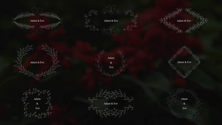 婚礼标题动画效果优雅的16设计素材网精选AE模板